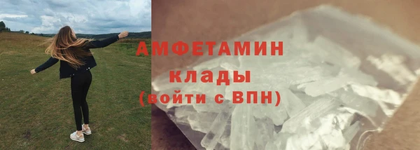 прущие грибы Алексеевка