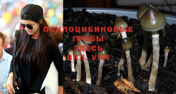 прущие грибы Алексеевка