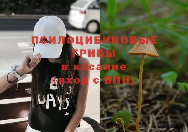 прущие грибы Алексеевка