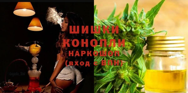 прущие грибы Алексеевка