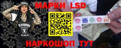 jwh Нальчик