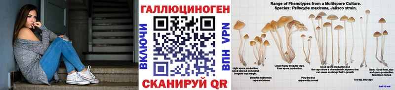 Псилоцибиновые грибы мицелий  Салават 