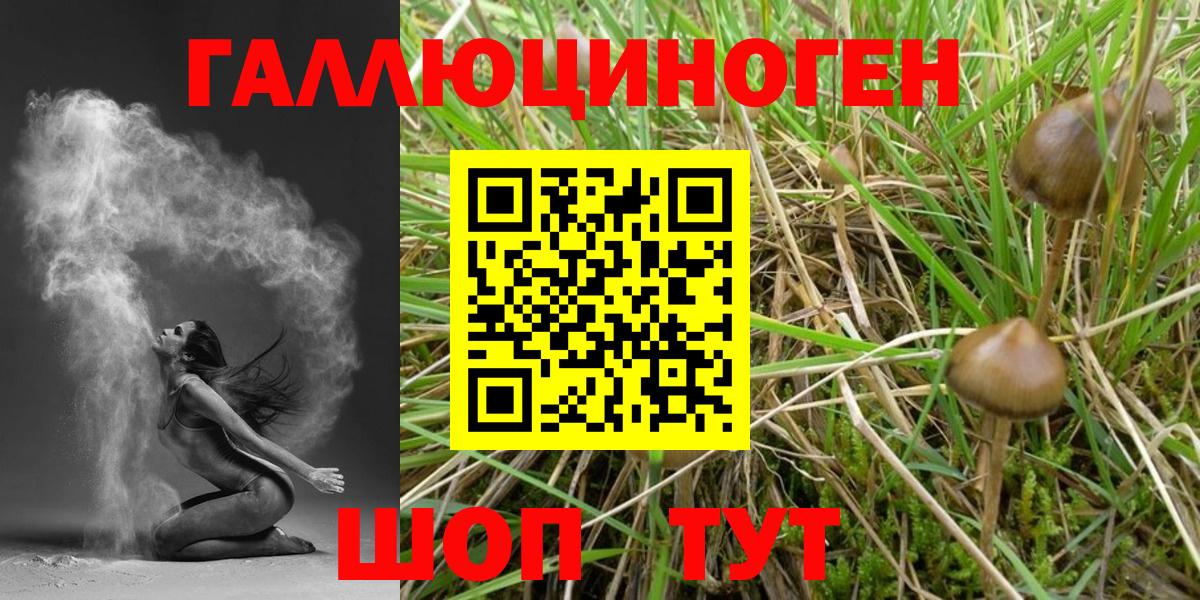 Галлюциногенные грибы Magic Shrooms  Вход с VPN  Салават 